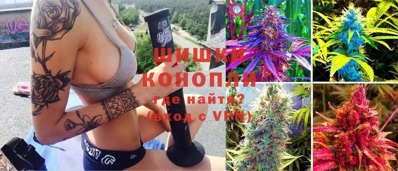 Канабис SATIVA & INDICA  Бобров 